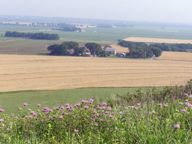 A VIEW FROM ATOP MOUNT MITCHELL
