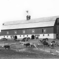 sump-barn-c-1921