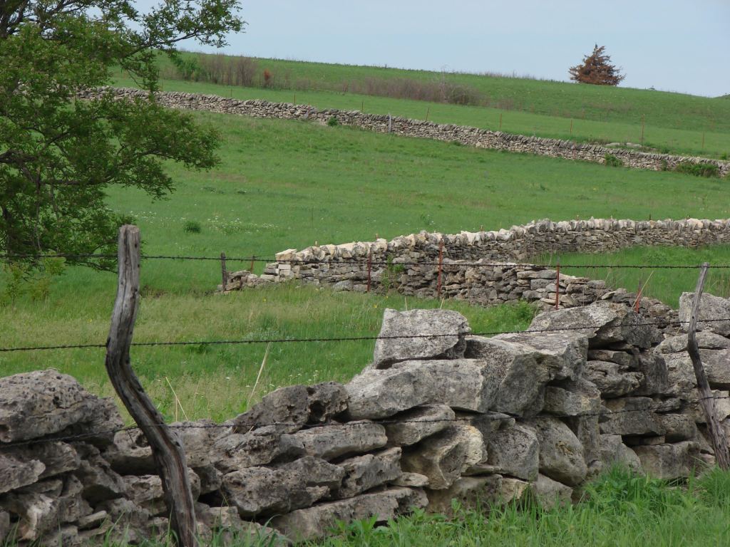 View showing both original and restored stone fence in Wabaunsee County. Photo credit Nancy Crenshaw-Miller.