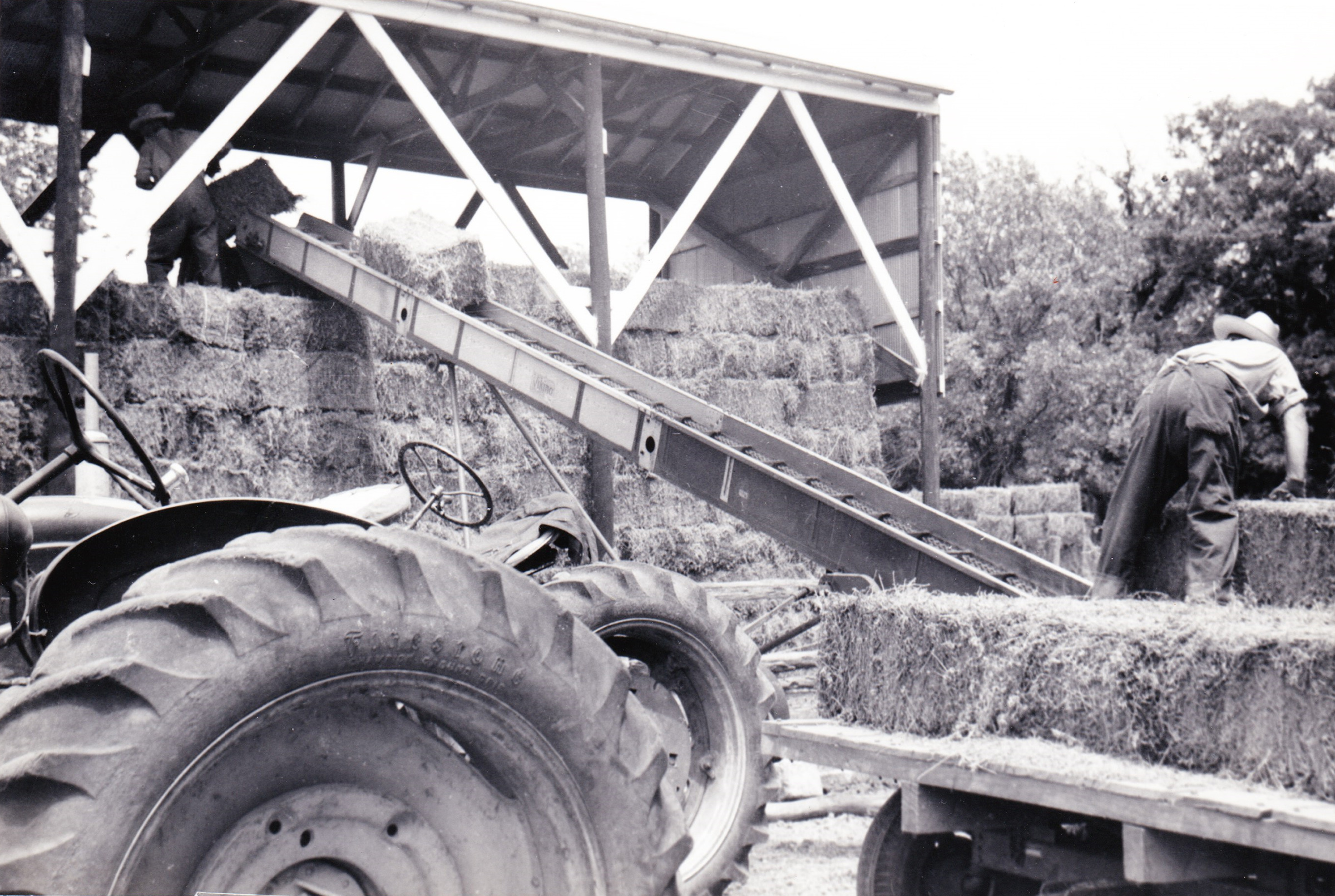 Hay elevator at work at the Priedts